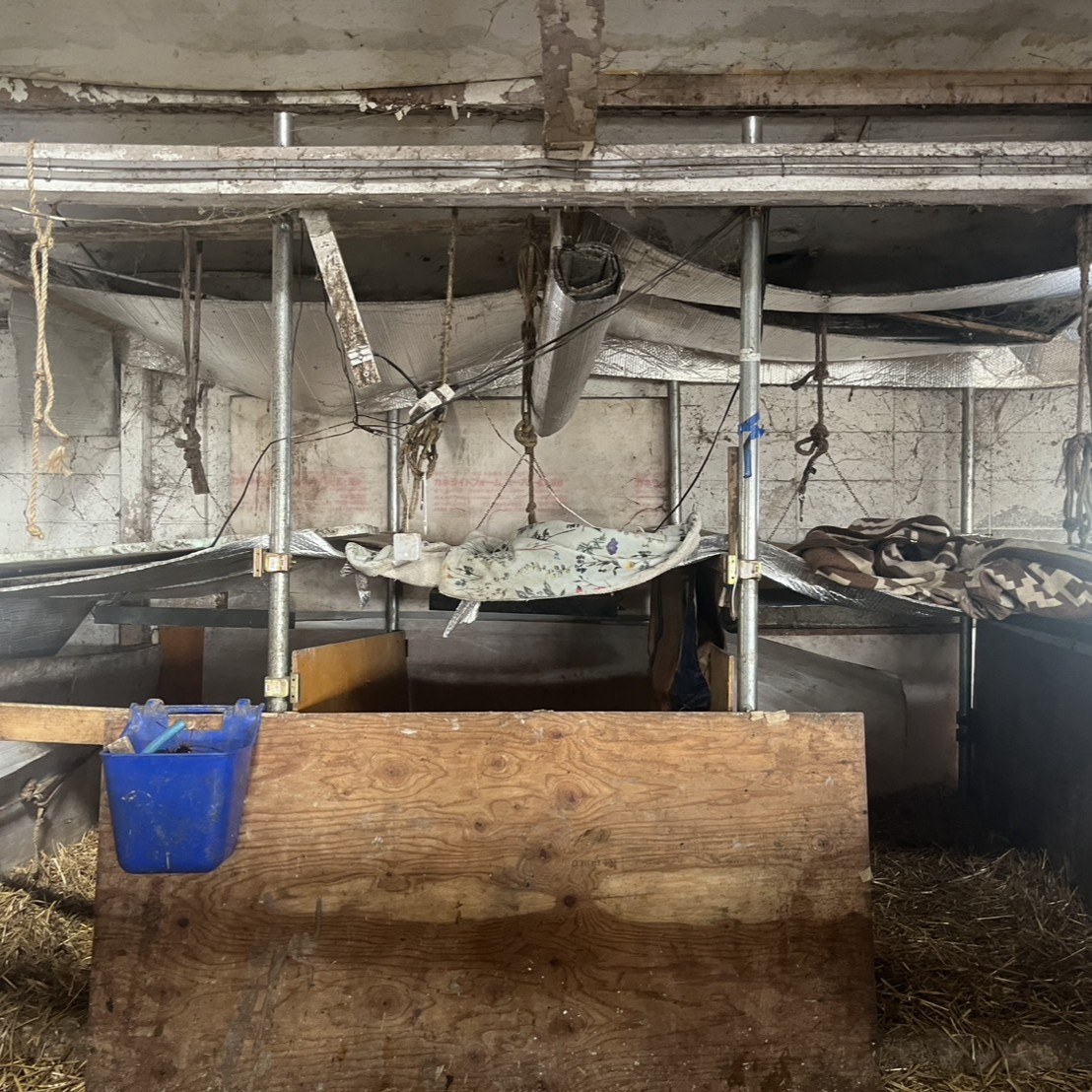 スマート哺育舎！！