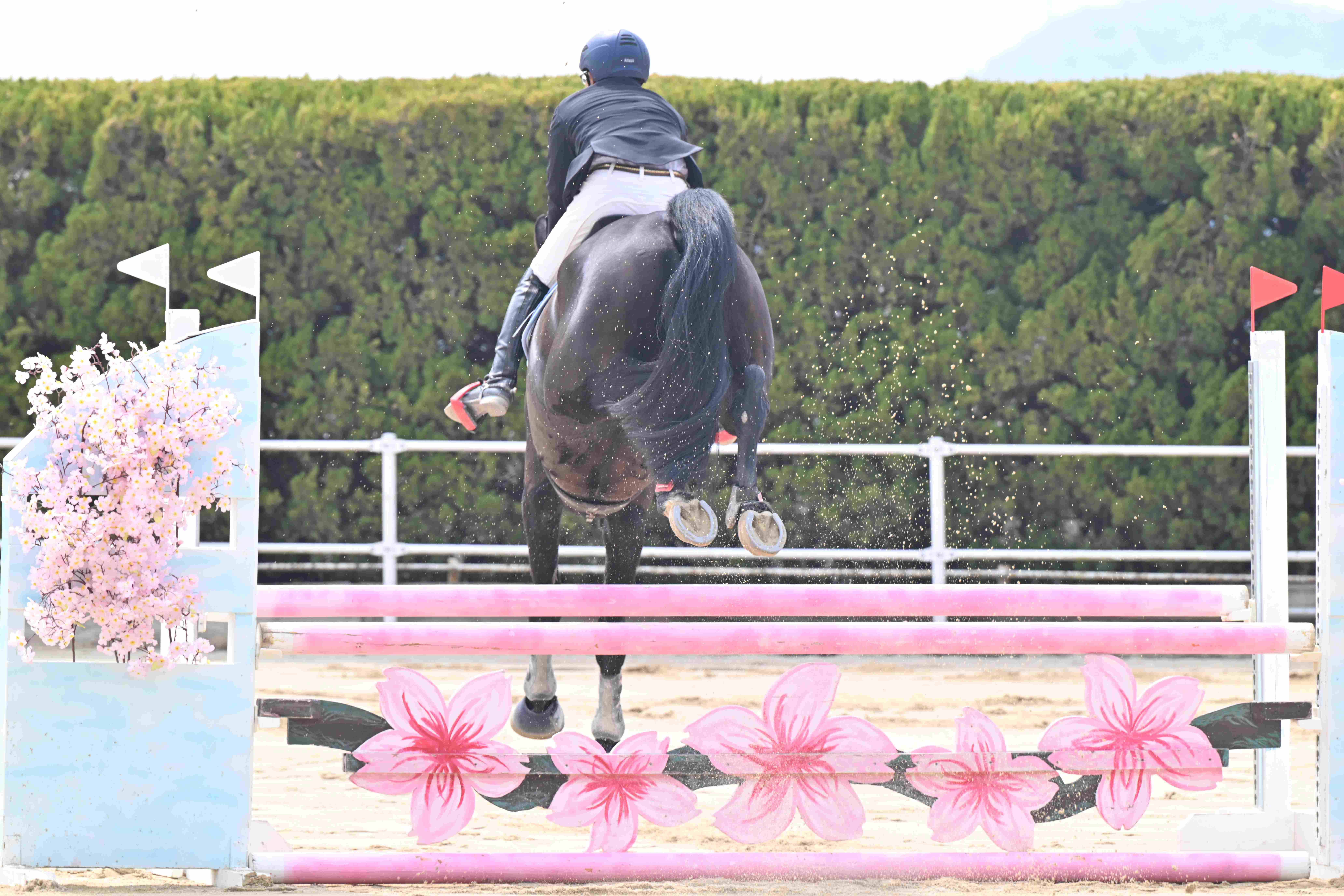 加古川親善馬術大会 訪問レポート