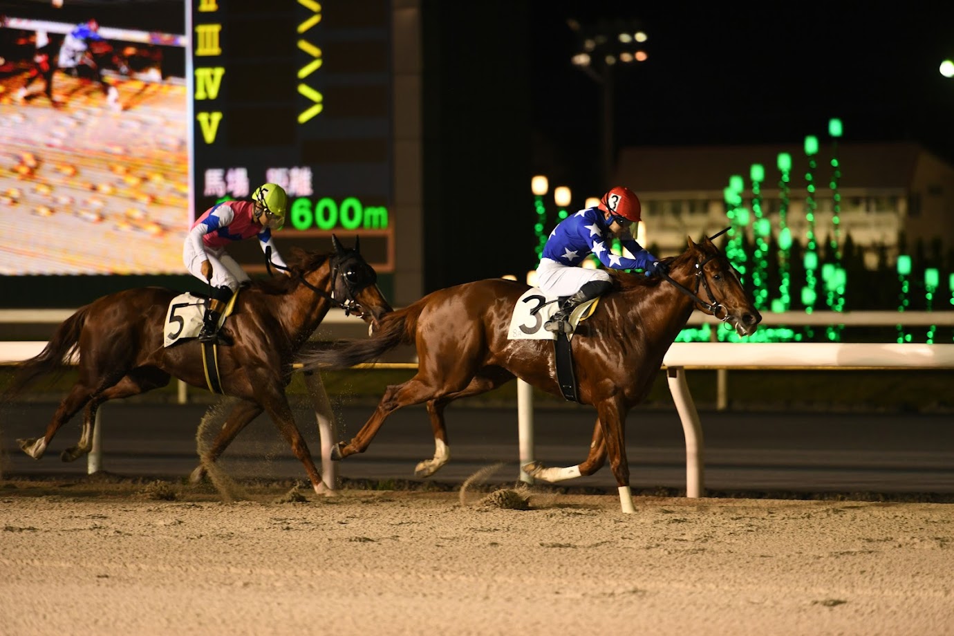 「推し活」が、日本の畜産を救う。