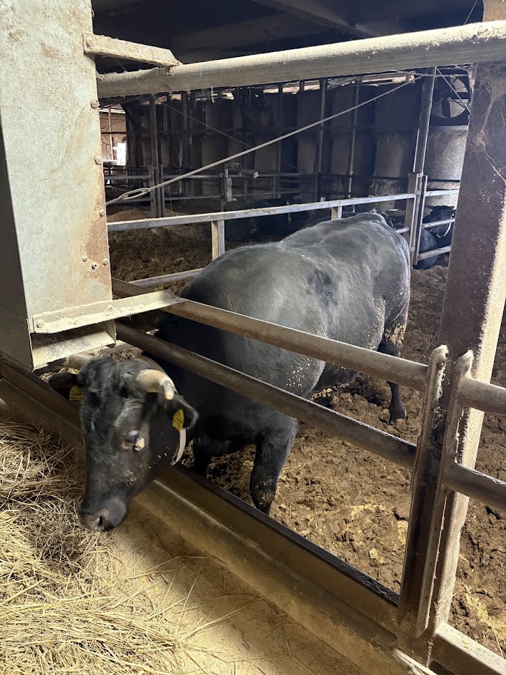アースジェネターの「ドカ食い」活用術