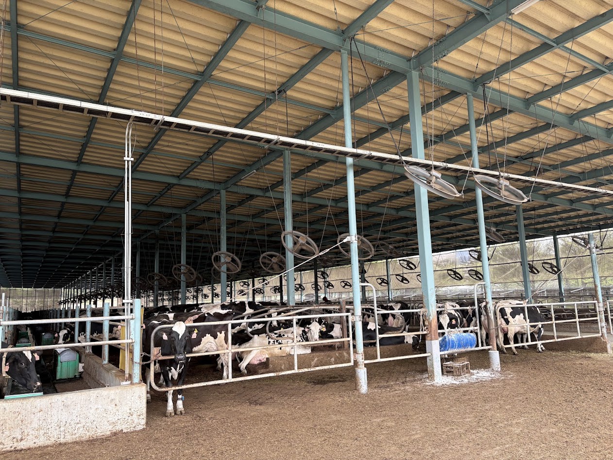 暑さが本格化する前の「先行投資」