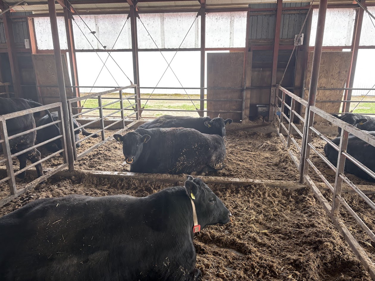 敷料コストを半分に。戻し堆肥活用のポイント