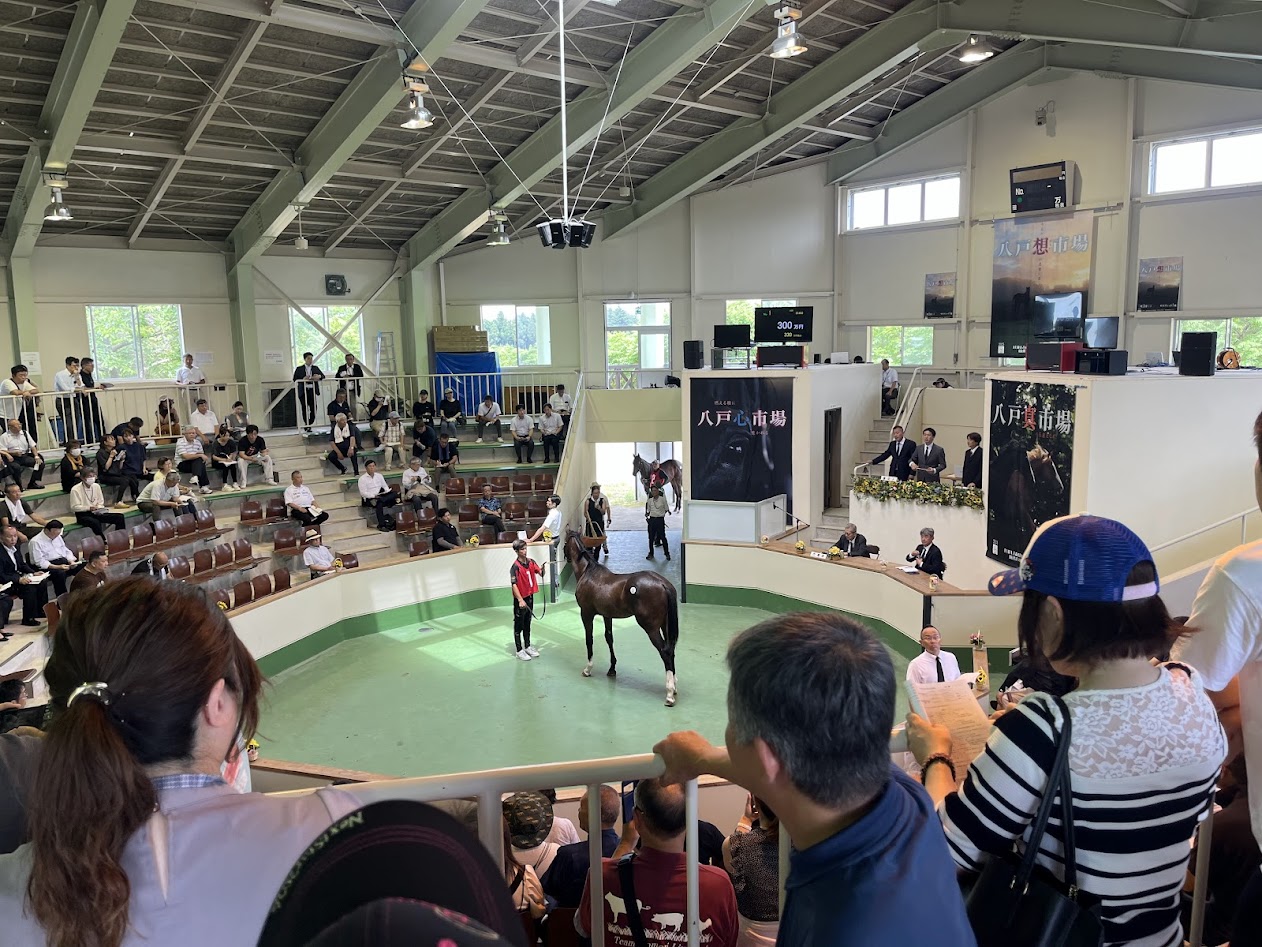 いざ、八戸馬市場
