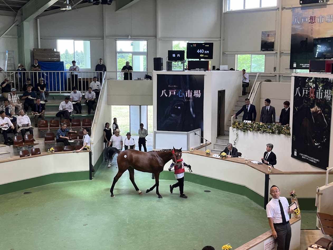 【7/7開催】今年も参戦！八戸馬市場2026