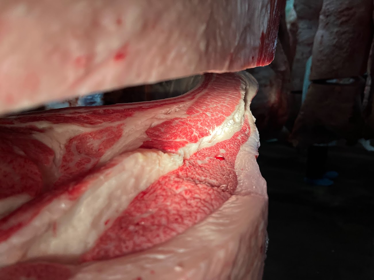 知恵久　枝肉