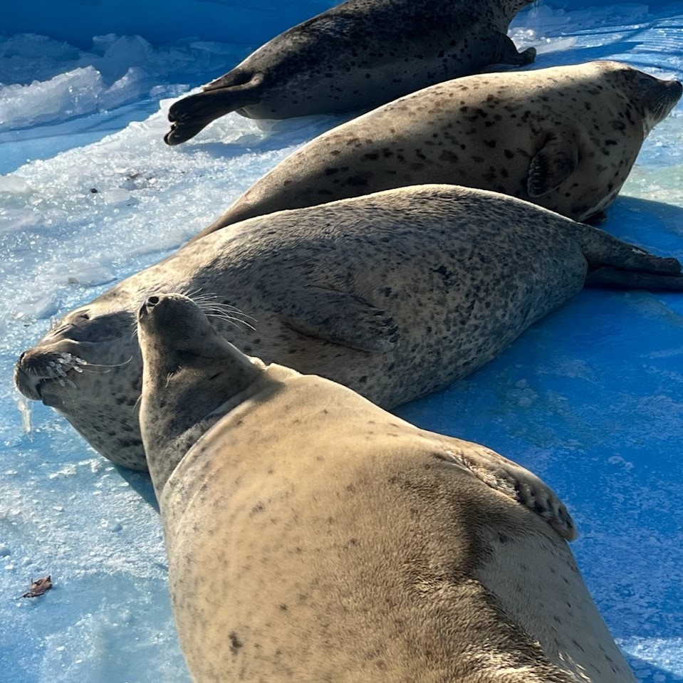 動物園でのひとコマ