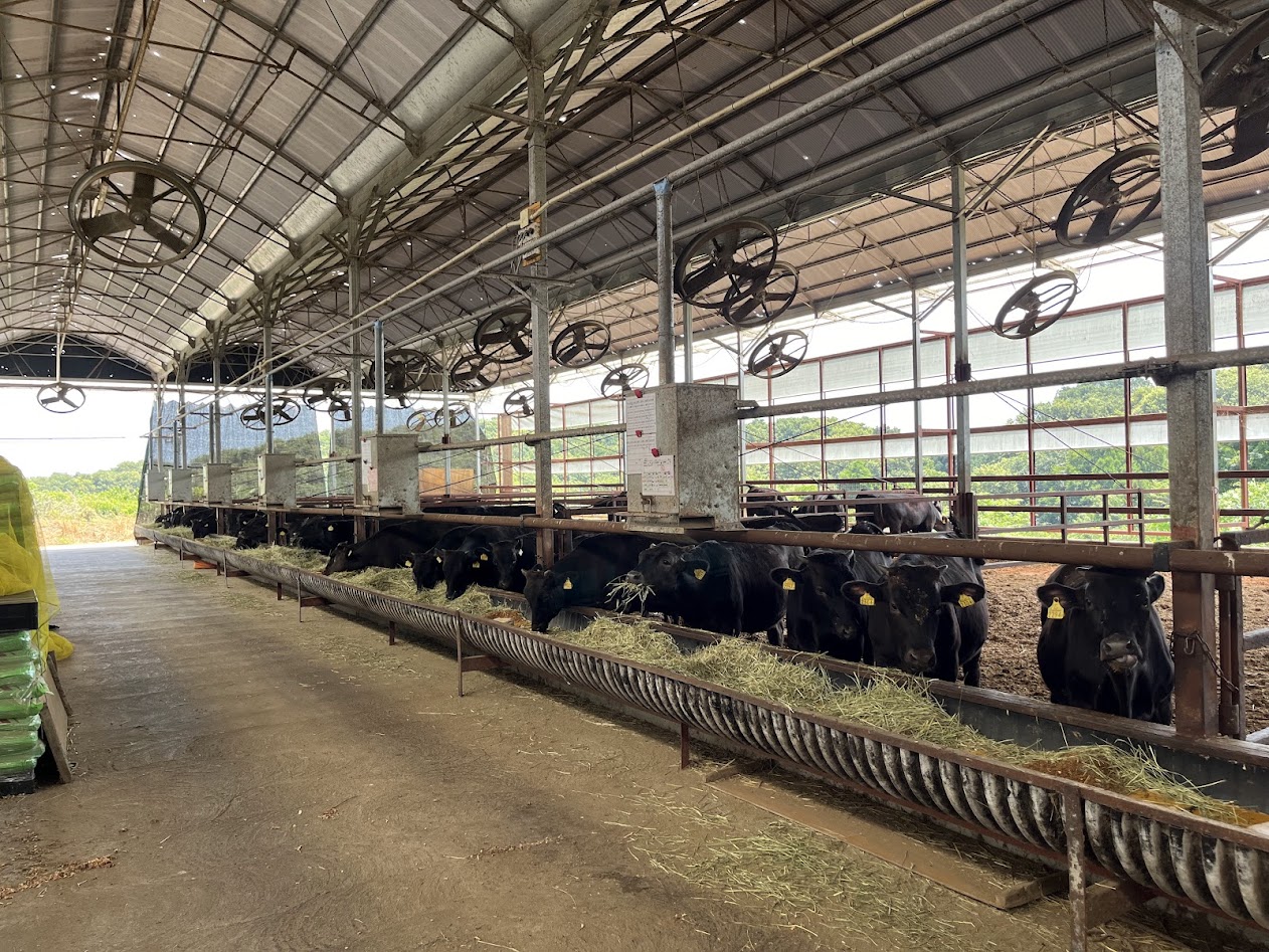 誰でも同じやり方で