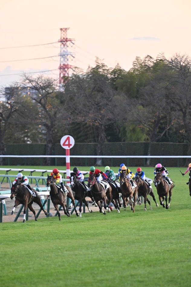 十勝市場の1年間の動向
