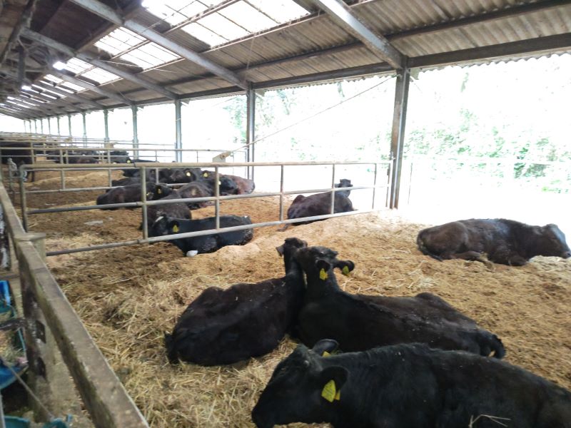 管理なんて・・・