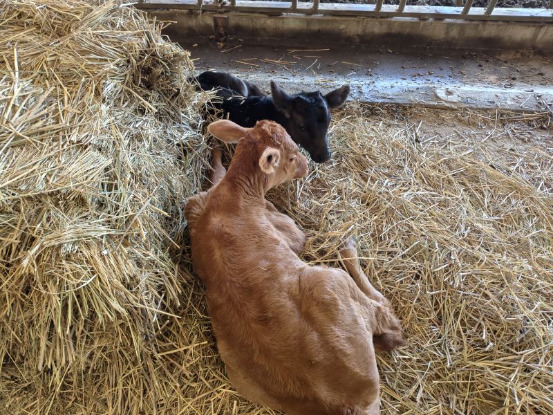 ある農家さんからの質問