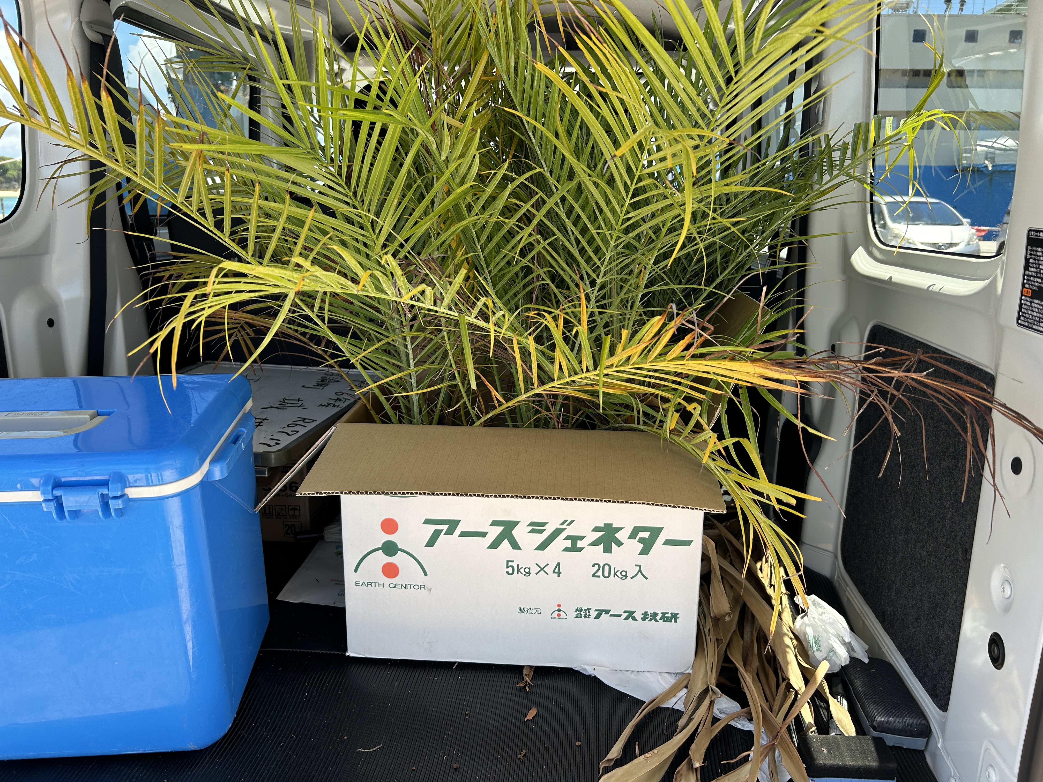 意外にも
