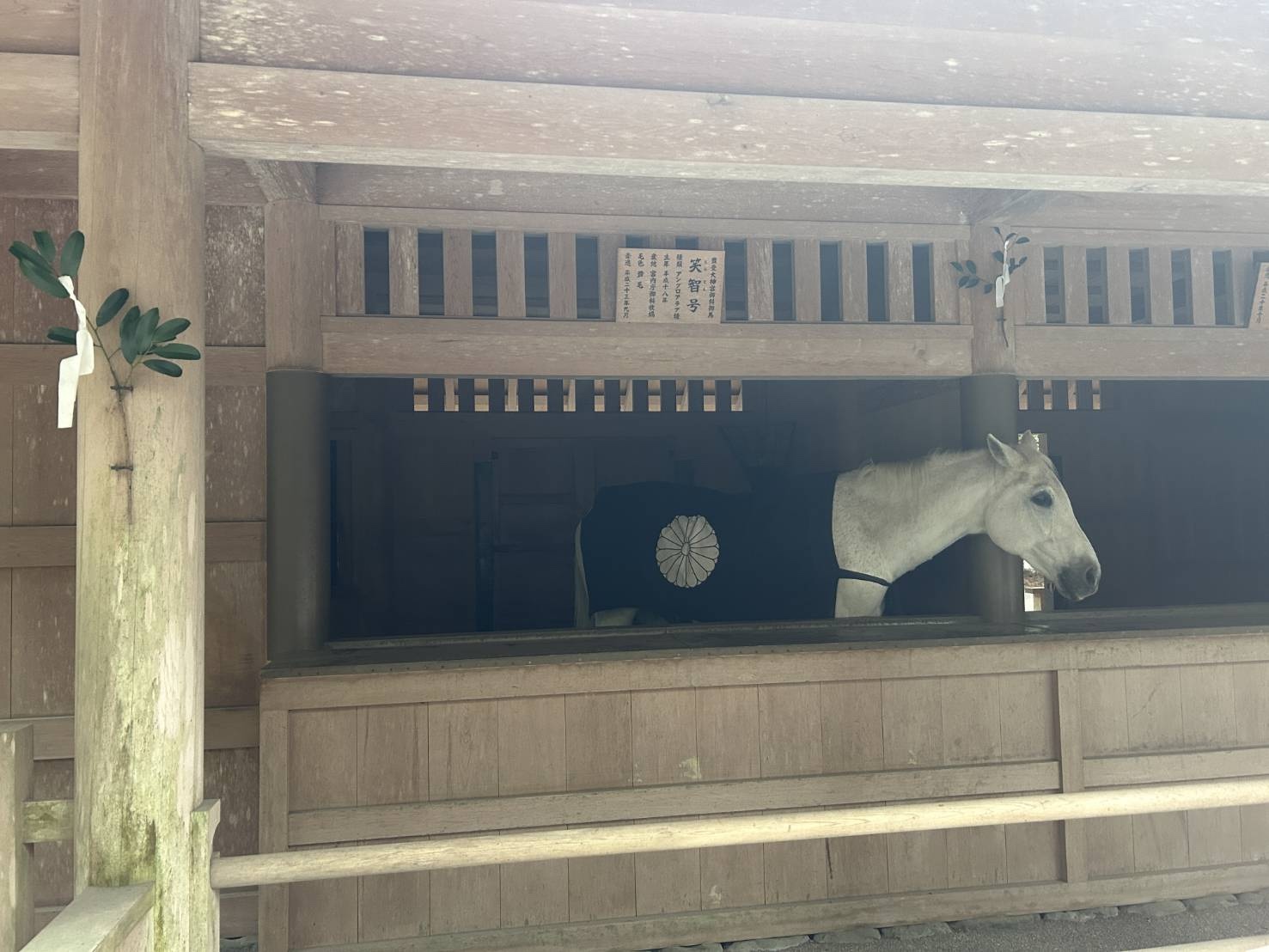 堆肥舎について