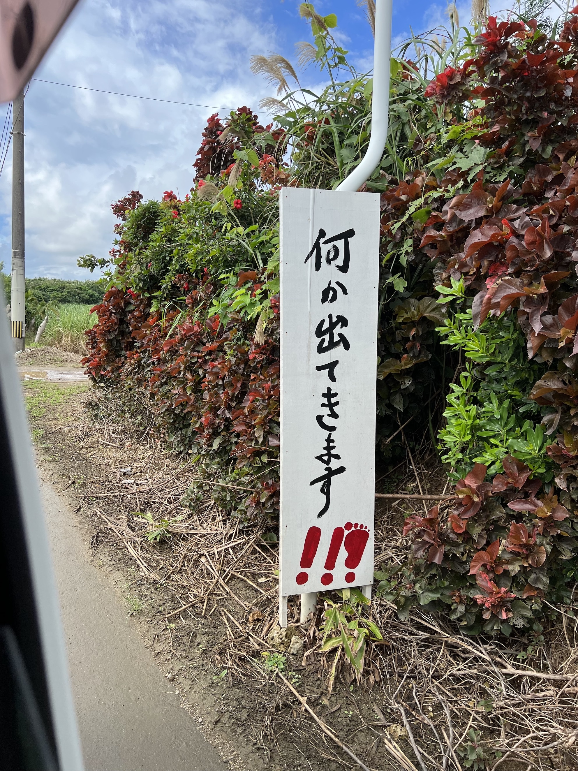 今年も、よろしくお願いいたします(*^^*)