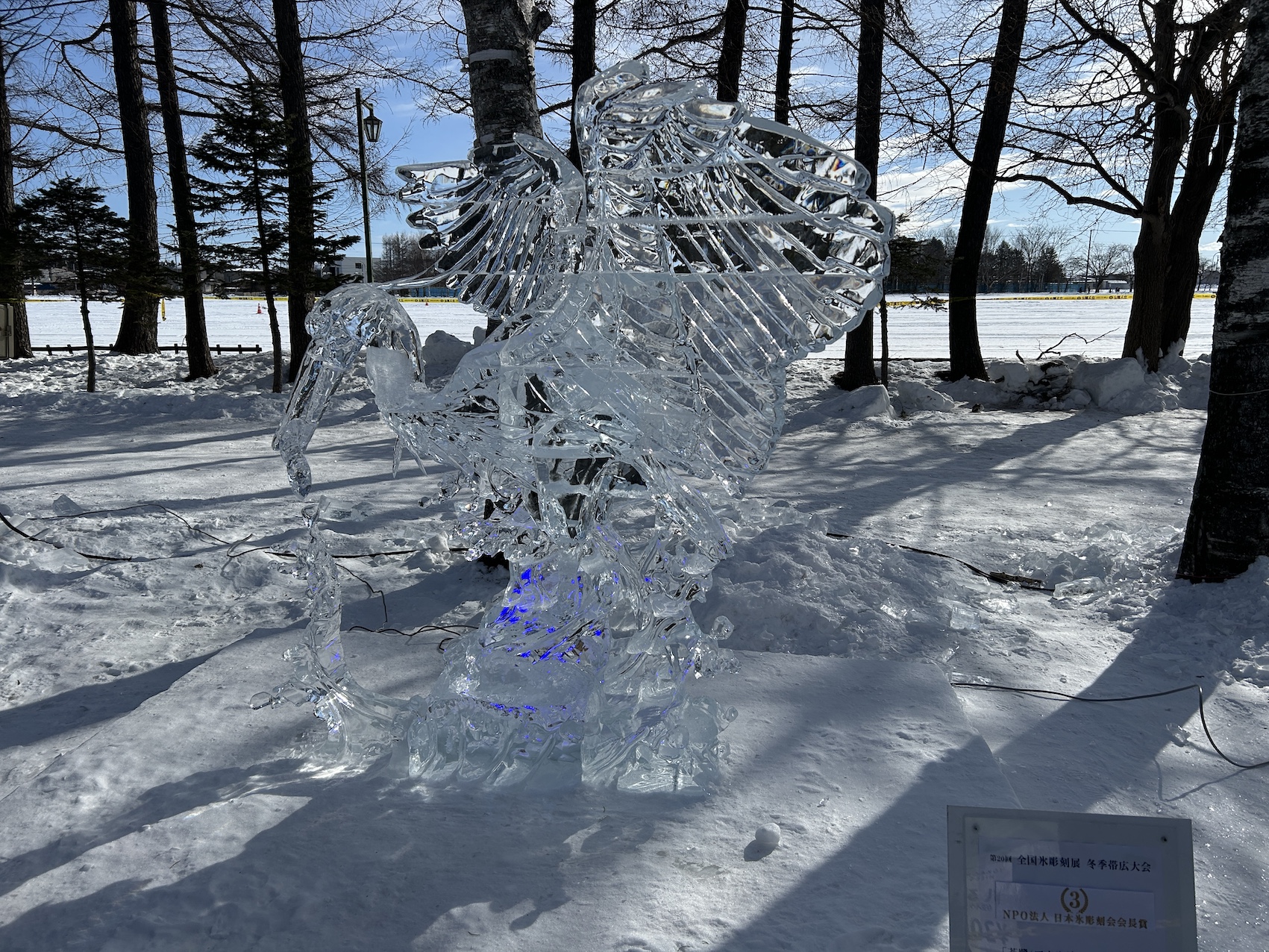 エネルギーヒエラルキー