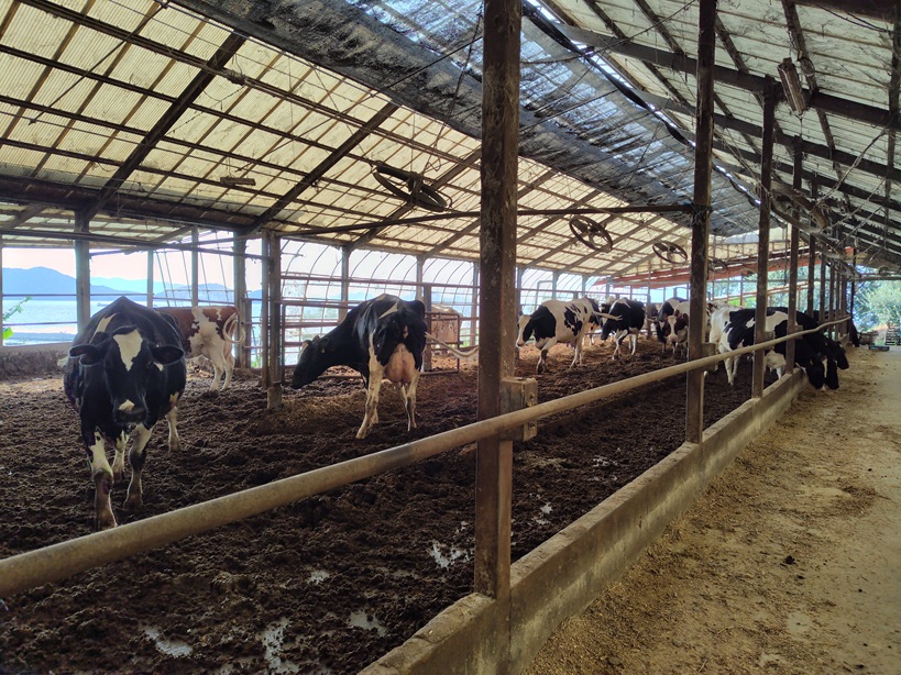 瀬戸内海を望みながら・・・