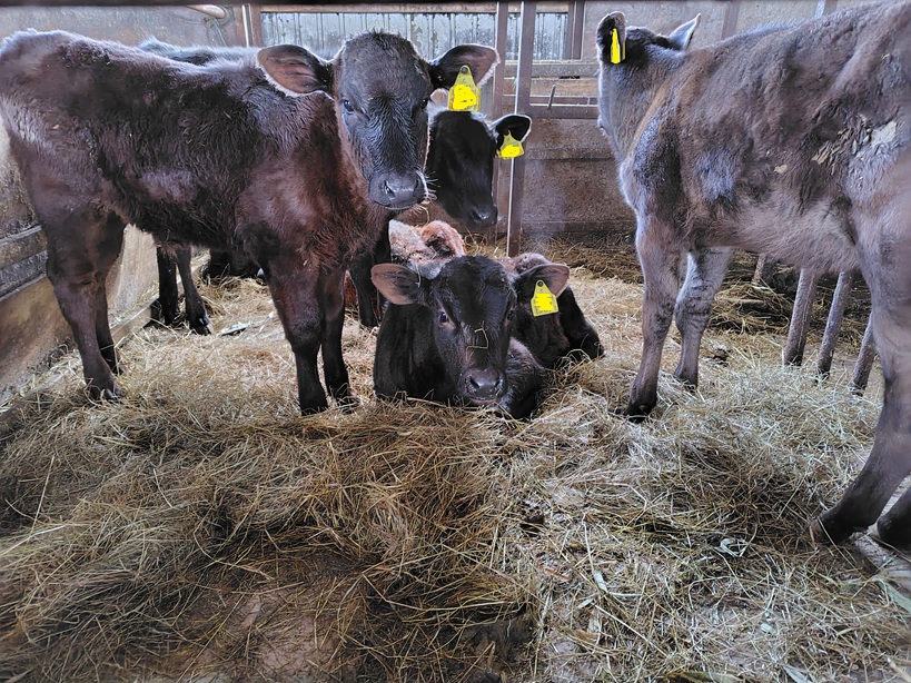 今シーズンは寒い！