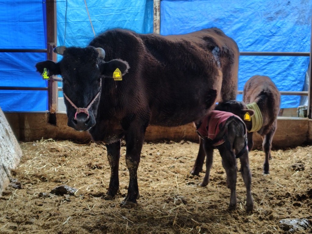 授乳中でのできごと