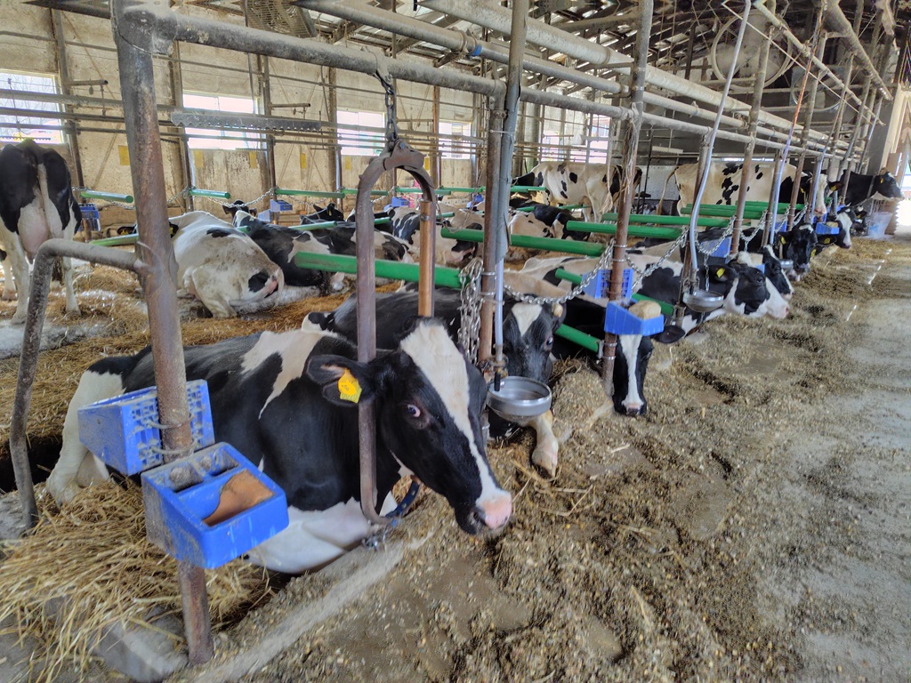 グリーンストールの設置