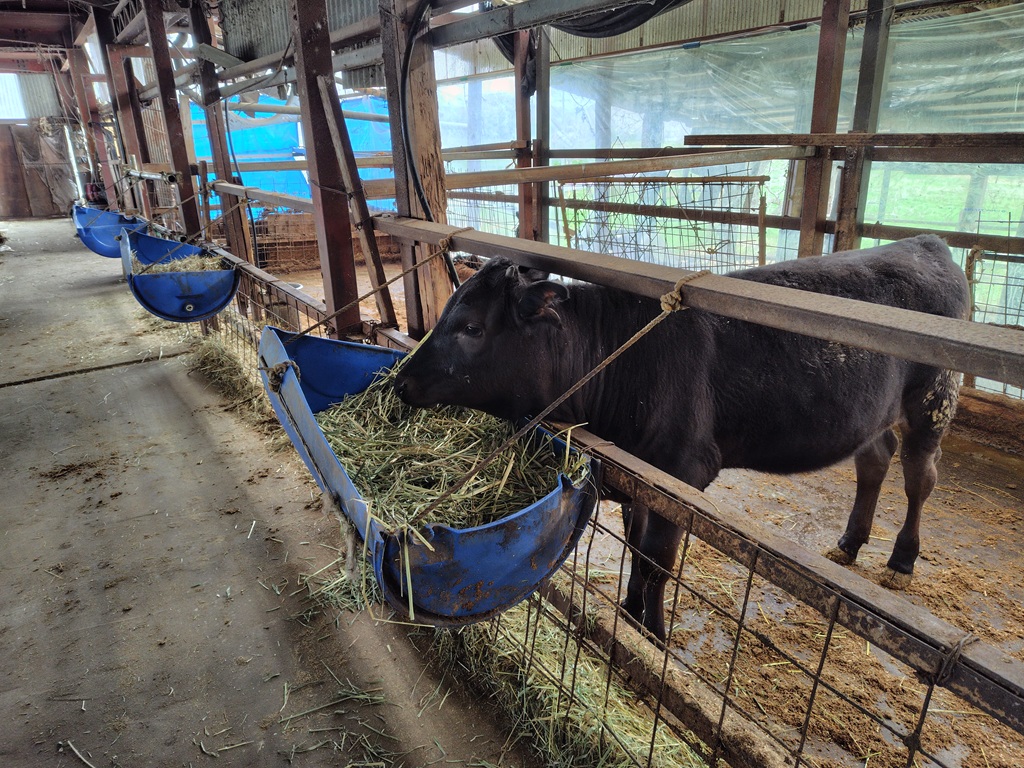 ゆったりした雰囲気