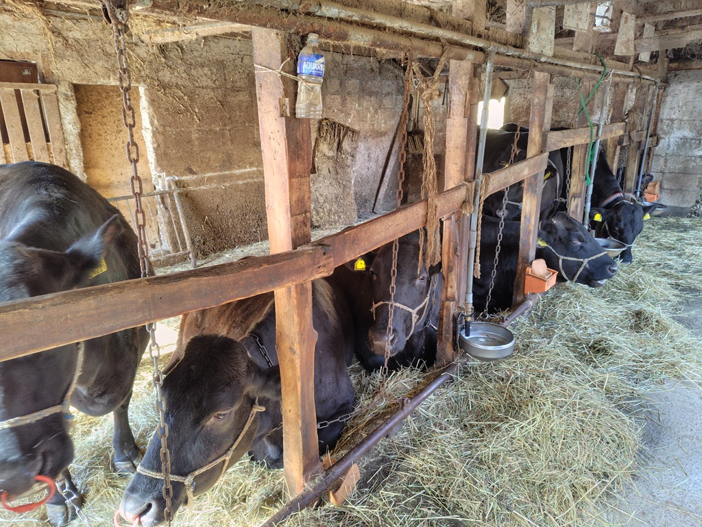 とある農家さんにて...